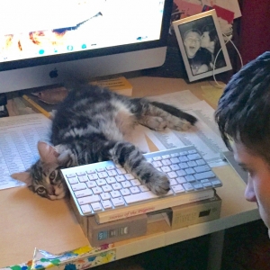 Boris the cat lending some inspiration!